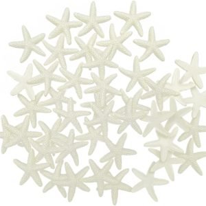 3cm, 44,starfish  white