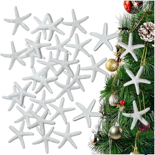 Seashells Small Starfish For Crafts, Natural Finger Pencil Starfish, Artificial Starfish Decoration, Wedding, Party And Fish Tank Home Decoration (25, White)