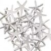 Seashells Small Starfish For Crafts, Natural Finger Pencil Starfish, Artificial Starfish Decoration, Wedding, Party And Fish Tank Home Decoration (25, White)