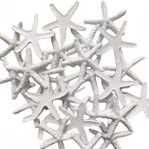 Seashells Small Starfish For Crafts, Natural Finger Pencil Starfish, Artificial Starfish Decoration, Wedding, Party And Fish Tank Home Decoration (25, White)