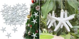 Mini Resin Starfish-Realistic Ocean-Themed Decor for DIY Crafts,Beach Wedding Decorations,Home Wall Accents,and Coastal-Themed Arrangements.mini Starfish for Crafts (44, White)