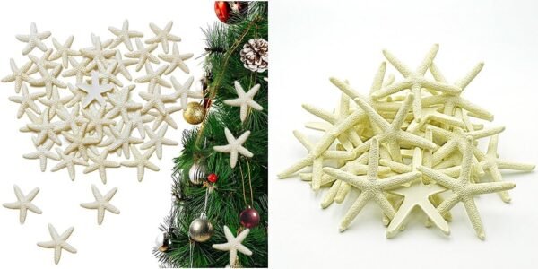 Resin Starfish Seashells Starfish Decor sea Shells for Crafting Starfish Pendant for DIY Wedding Decoration,Beach Shells Vase Filling,Fish Tank sea Shell Decor Shell Wall Decor Nautical Table Decor