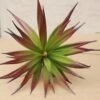 CHSZCHOMER Artificial Succulents Plants- Faux Succulents Unpotted Yucca Real Touch Lifelike Agave Plant Fake Succulent Greenhouse Small Plants Home Plastic Tequila,Soil Free Plant,No Lighting Function