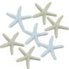Starfish Crafts resin starfish-finger pointing starfish, wedding, party, home artificial starfish decoration (13 pcs white and 13 pcs warm white, 26 pcs)
