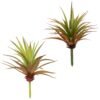 CHSZCHOMER Artificial Succulents Plants- Faux Succulents Unpotted Yucca Real Touch Lifelike Agave Plant Fake Succulent Greenhouse Small Plants Home Plastic Tequila,Soil Free Plant,No Lighting Function