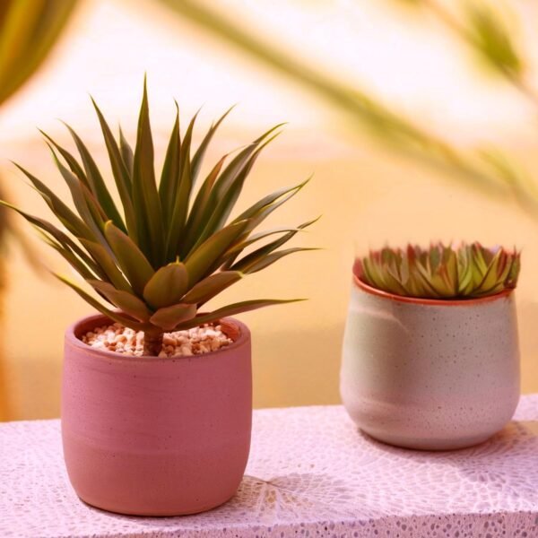 CHSZCHOMER Artificial Succulents Plants- Faux Succulents Unpotted Yucca Real Touch Lifelike Agave Plant Fake Succulent Greenhouse Small Plants Home Plastic Tequila,Soil Free Plant,No Lighting Function