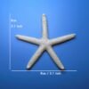 Resin Starfish Seashells Starfish Decor sea Shells for Crafting Starfish Pendant for DIY Wedding Decoration,Beach Shells Vase Filling,Fish Tank sea Shell Decor Shell Wall Decor Nautical Table Decor