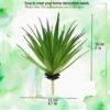 CHSZCHOMER Realistic Artificial Yucca & Agave Plants - Lifelike Faux Succulents for Home & Office Decor, No Maintenance Required (2 pcs Green Agave)Fake Plants, No Lighting Function