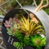 CHSZCHOMER Realistic Artificial Yucca & Agave Plants - Lifelike Faux Succulents for Home & Office Decor, No Maintenance Required (2 pcs Green Agave)Fake Plants, No Lighting Function