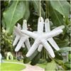 Resin starfish, starfish pendant, jewelry making Resin starfish crafts ocean enthusiasts -DIY vase filling materials, flower garlands, birthday parties, wedding decorations, fish tanks, beach murals