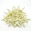 Resin Starfish Seashells Starfish Decor sea Shells for Crafting Starfish Pendant for DIY Wedding Decoration,Beach Shells Vase Filling,Fish Tank sea Shell Decor Shell Wall Decor Nautical Table Decor