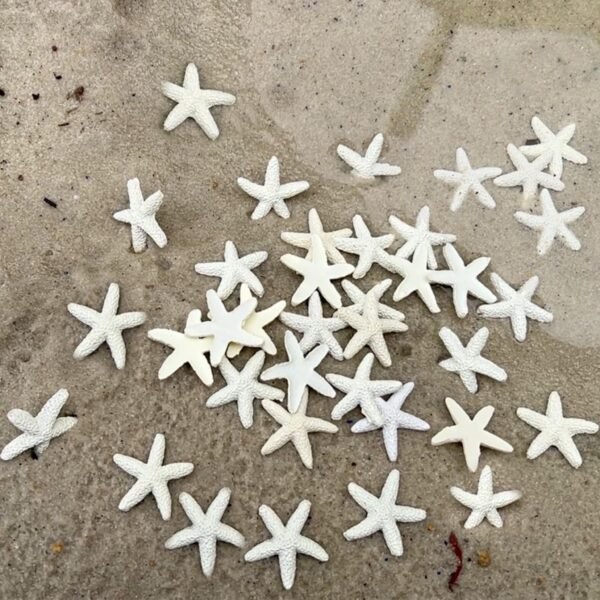 44 Pcs Of Artificial Resin Starfish Plastic Starfish Fake Starfish (Warm White)