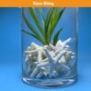 Mini Resin Starfish-Realistic Ocean-Themed Decor for DIY Crafts,Beach Wedding Decorations,Home Wall Accents,and Coastal-Themed Arrangements.mini starfish for crafts (44, Off white)