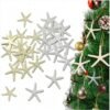 Seashells Small Starfish For Crafts, Natural Finger Pencil Starfish, Artificial Starfish Decoration, Wedding, Party And Fish Tank Home Decoration (26, 13 White + 13 Warm)