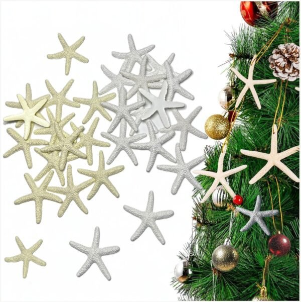 Seashells Small Starfish For Crafts, Natural Finger Pencil Starfish, Artificial Starfish Decoration, Wedding, Party And Fish Tank Home Decoration (26, 13 White + 13 Warm)