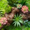 CHSZCHOMER Realistic Artificial Yucca & Agave Plants - Lifelike Faux Succulents for Home & Office Decor, No Maintenance Required (2 pcs Green Agave)Fake Plants, No Lighting Function